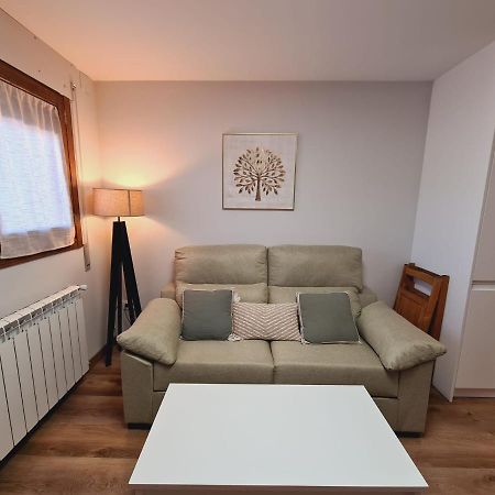 Ferienwohnung Puente Viejo Santa Cilia de Jaca Exterior foto
